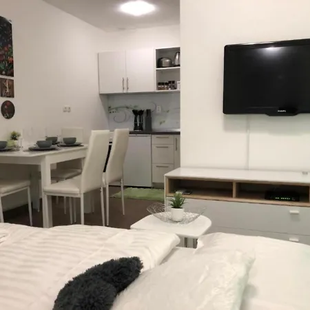 Modern Center Studio Under The Castle - Free Parking Lejlighed *